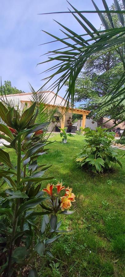 Gite Les 2 Cedres Villa Cardet ภายนอก รูปภาพ